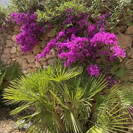 Terraced House In The Mountains With Fantastic View Vakantiehuis Málaga